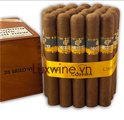 Cohiba Siglo VI